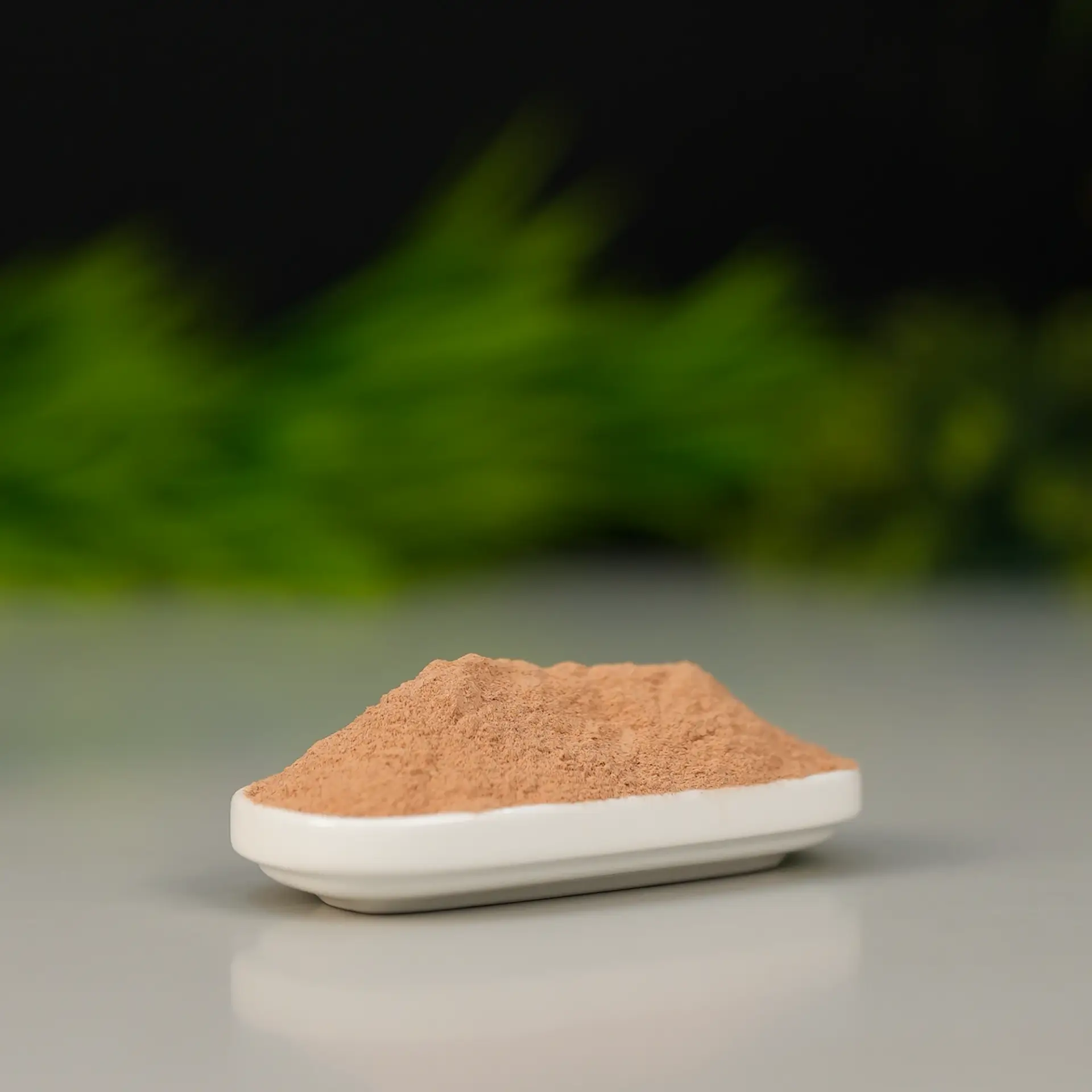 অর্জুন গুঁড়া | Arjuna Powder	